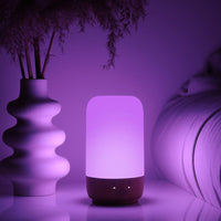 Totwoo-Langstrecken-Touch-Lampen