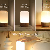 Totwoo-Langstrecken-Touch-Lampen