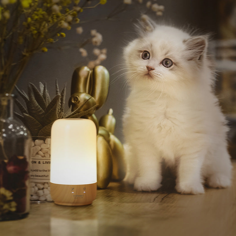 totwoo long distance touch lamps